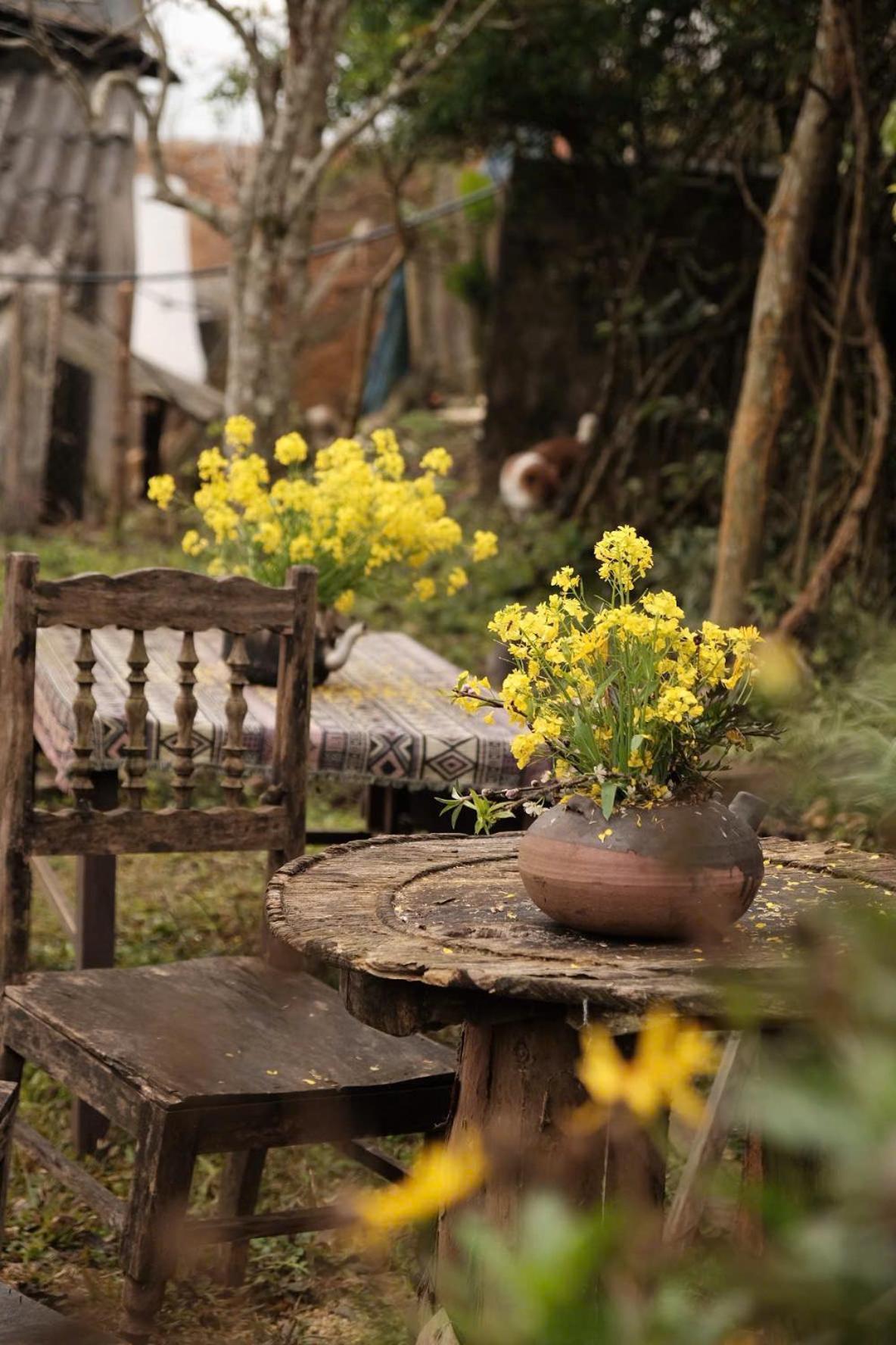 La Beauté Séjour chez l'habitant Bac Ha (Lao Cai)