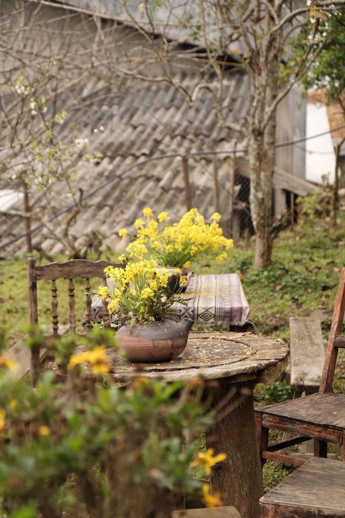 La Beauté Séjour chez l'habitant